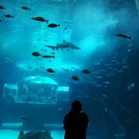 דירה Canteras Aquarium *